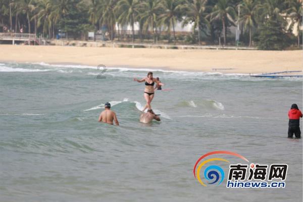 解救金刚鹦鹉