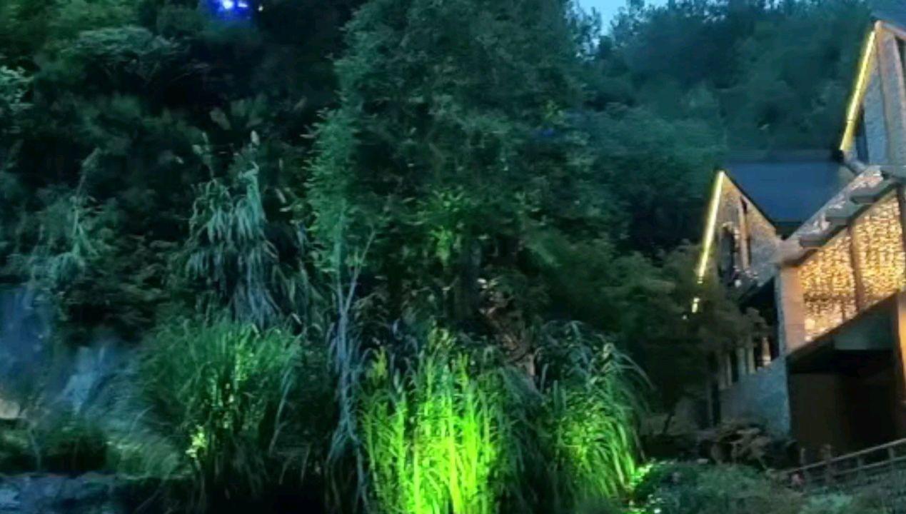 小萌新的甜美装扮